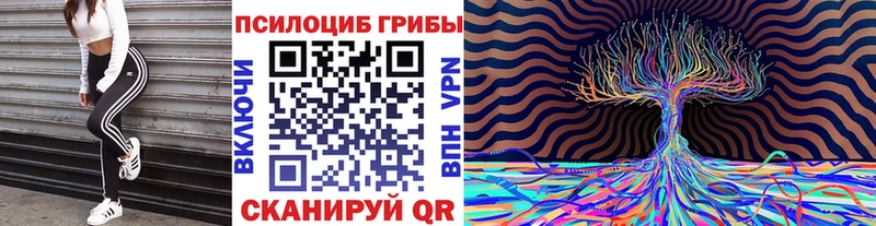 Псилоцибиновые грибы GOLDEN TEACHER  сколько стоит  Югорск 
